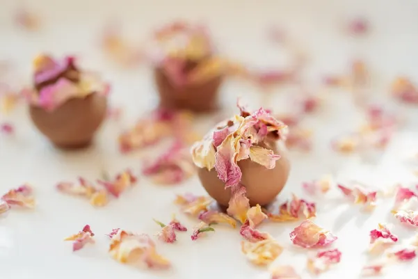 Bet9 Kazino Android/iOS programa